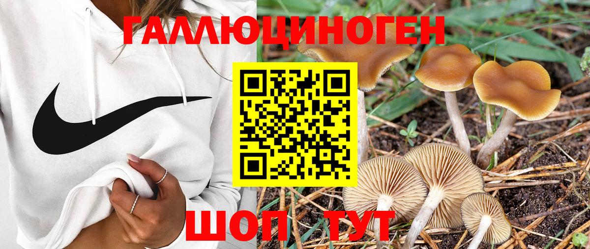 Псилоцибиновые грибы Cubensis  где найти наркотики  Нижневартовск  Вход с VPN 