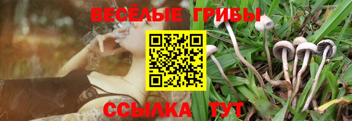 Галлюциногенные грибы мицелий Нижневартовск